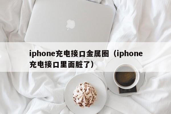 iphone充电接口金属圈（iphone充电接口里面脏了）