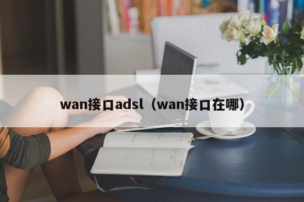 wan接口adsl（wan接口在哪）