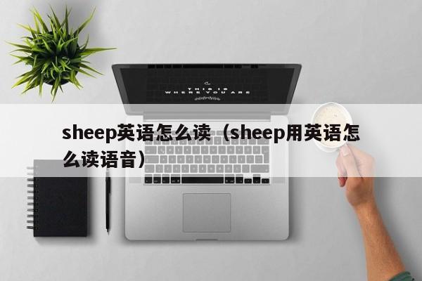 sheep英语怎么读（sheep用英语怎么读语音）