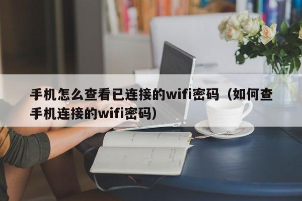 手机怎么查看已连接的wifi密码（如何查手机连接的wifi密码）