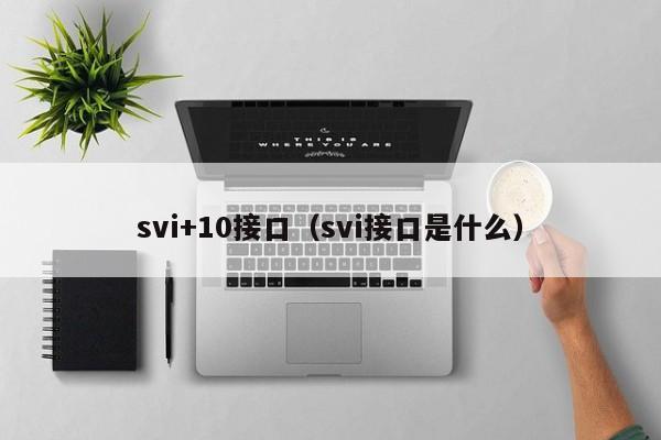 svi+10接口（svi接口是什么）