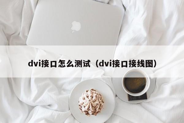 dvi接口怎么测试（dvi接口接线图）