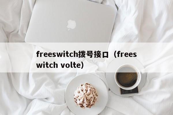 freeswitch拨号接口（freeswitch volte）