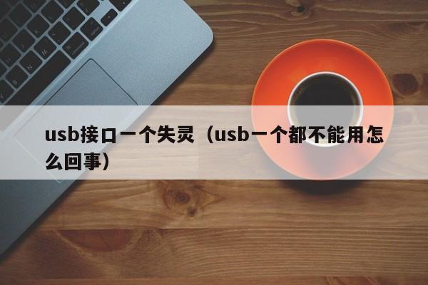 usb接口一个失灵（usb一个都不能用怎么回事）