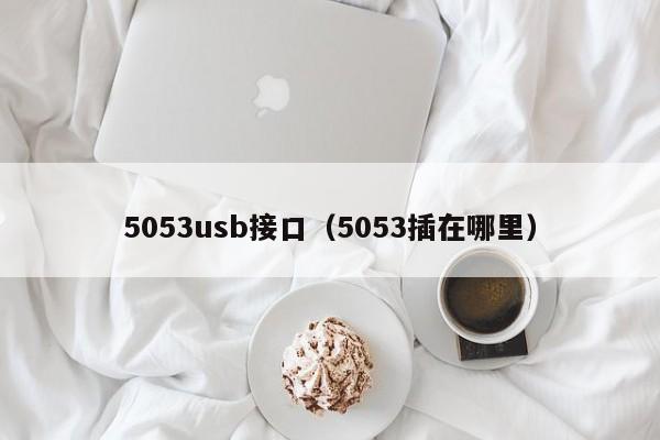 5053usb接口（5053插在哪里）