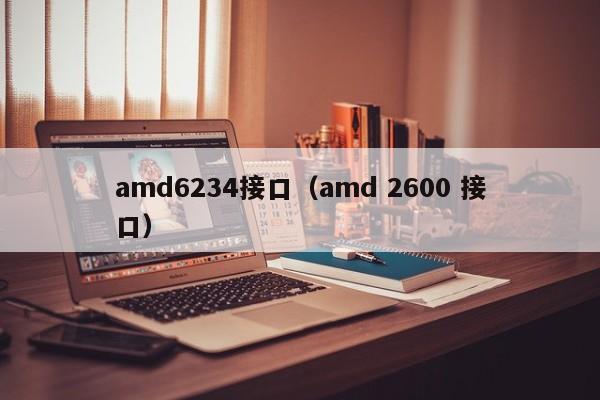 amd6234接口（amd 2600 接口）