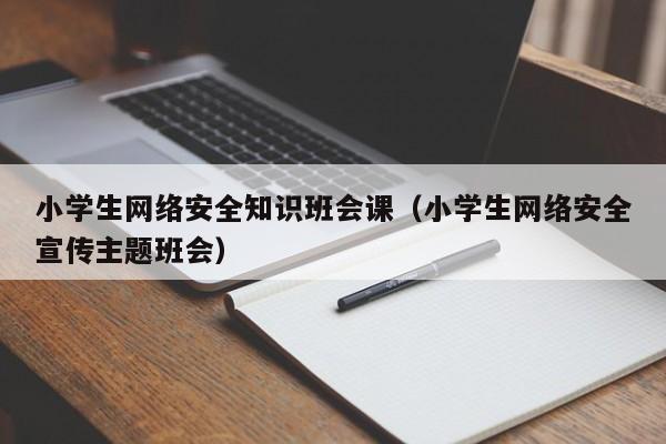 小学生网络安全知识班会课（小学生网络安全宣传主题班会）