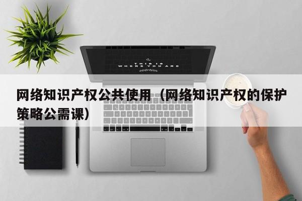 网络知识产权公共使用（网络知识产权的保护策略公需课）