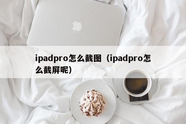 ipadpro怎么截图（ipadpro怎么截屏呢）