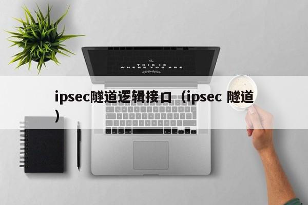 ipsec隧道逻辑接口（ipsec 隧道）