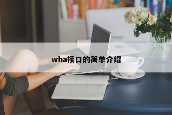 wha接口的简单介绍