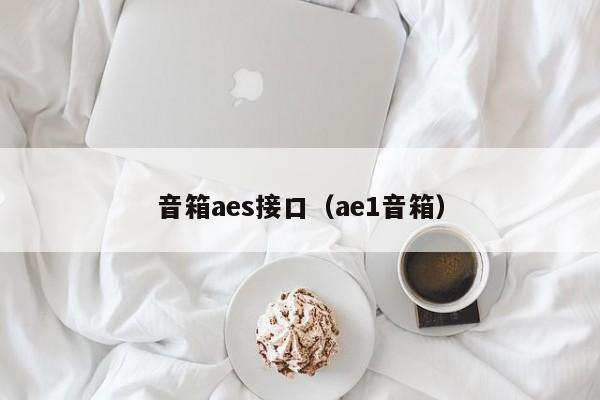 音箱aes接口（ae1音箱）