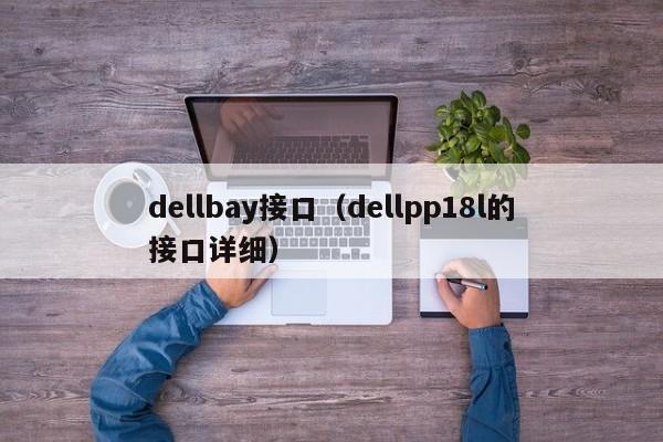 dellbay接口（dellpp18l的接口详细）