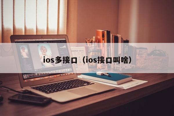 ios多接口（ios接口叫啥）