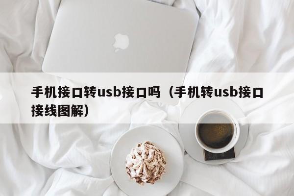 手机接口转usb接口吗（手机转usb接口接线图解）