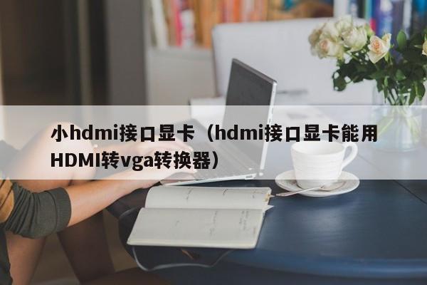 小hdmi接口显卡（hdmi接口显卡能用HDMI转vga转换器）