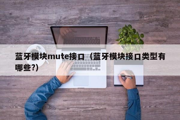 蓝牙模块mute接口（蓝牙模块接口类型有哪些?）