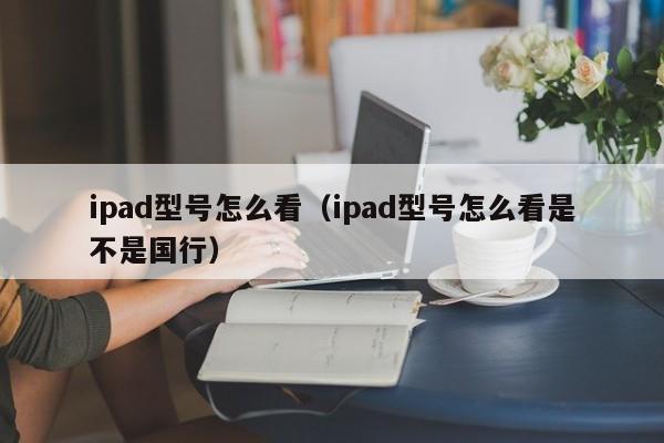 ipad型号怎么看（ipad型号怎么看是不是国行）