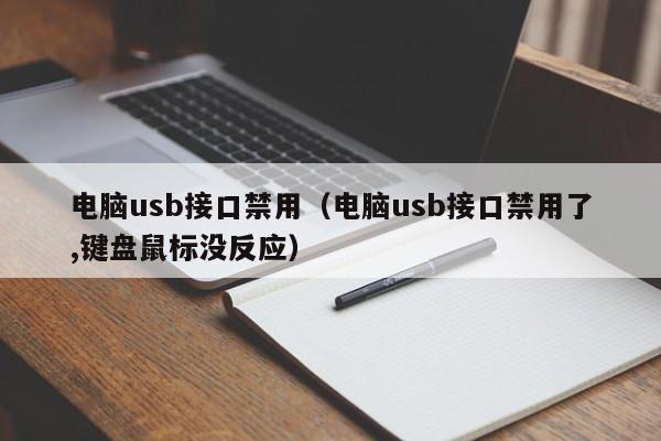 电脑usb接口禁用（电脑usb接口禁用了,键盘鼠标没反应）