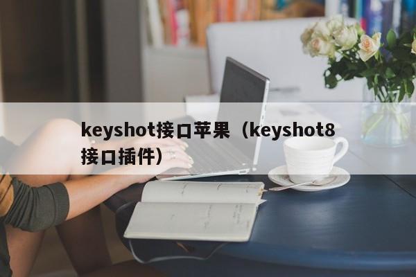 keyshot接口苹果（keyshot8接口插件）