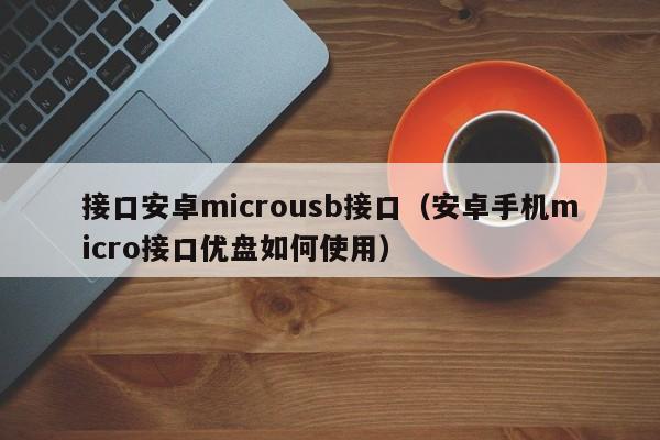 接口安卓microusb接口（安卓手机micro接口优盘如何使用）