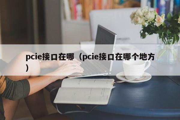 pcie接口在哪（pcie接口在哪个地方）