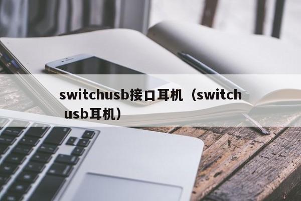 switchusb接口耳机（switch usb耳机）