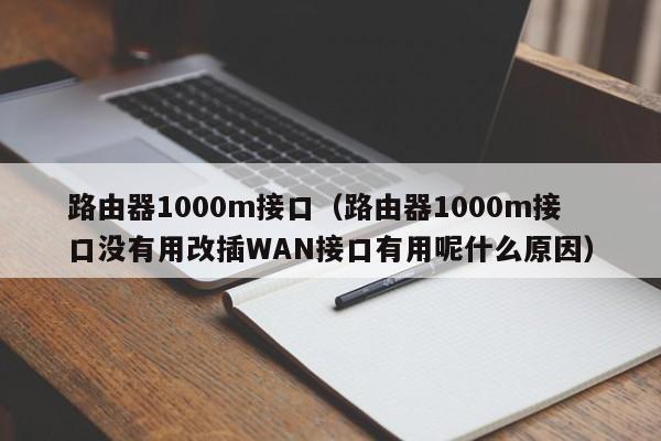 路由器1000m接口（路由器1000m接口没有用改插WAN接口有用呢什么原因）